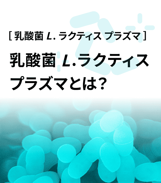 免疫とは 免疫の司令塔を活性化する 乳酸菌L.ラクティス プラズマ