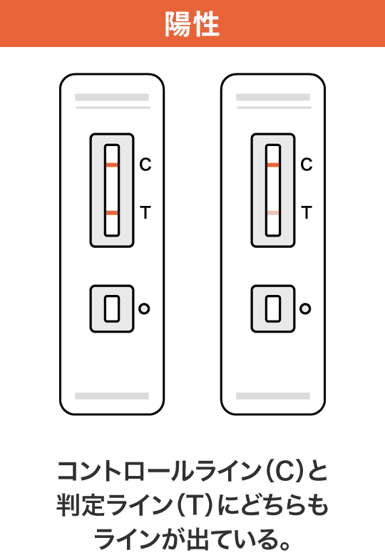 陽性 コントロールライン(C)と判定ライン(T)にどちらもラインが出ている。