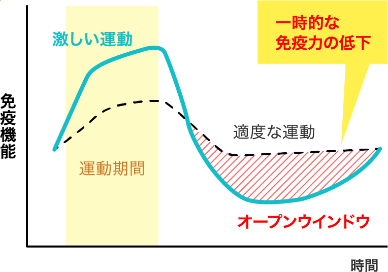 免疫機能／時間 一般的な免疫力の低下