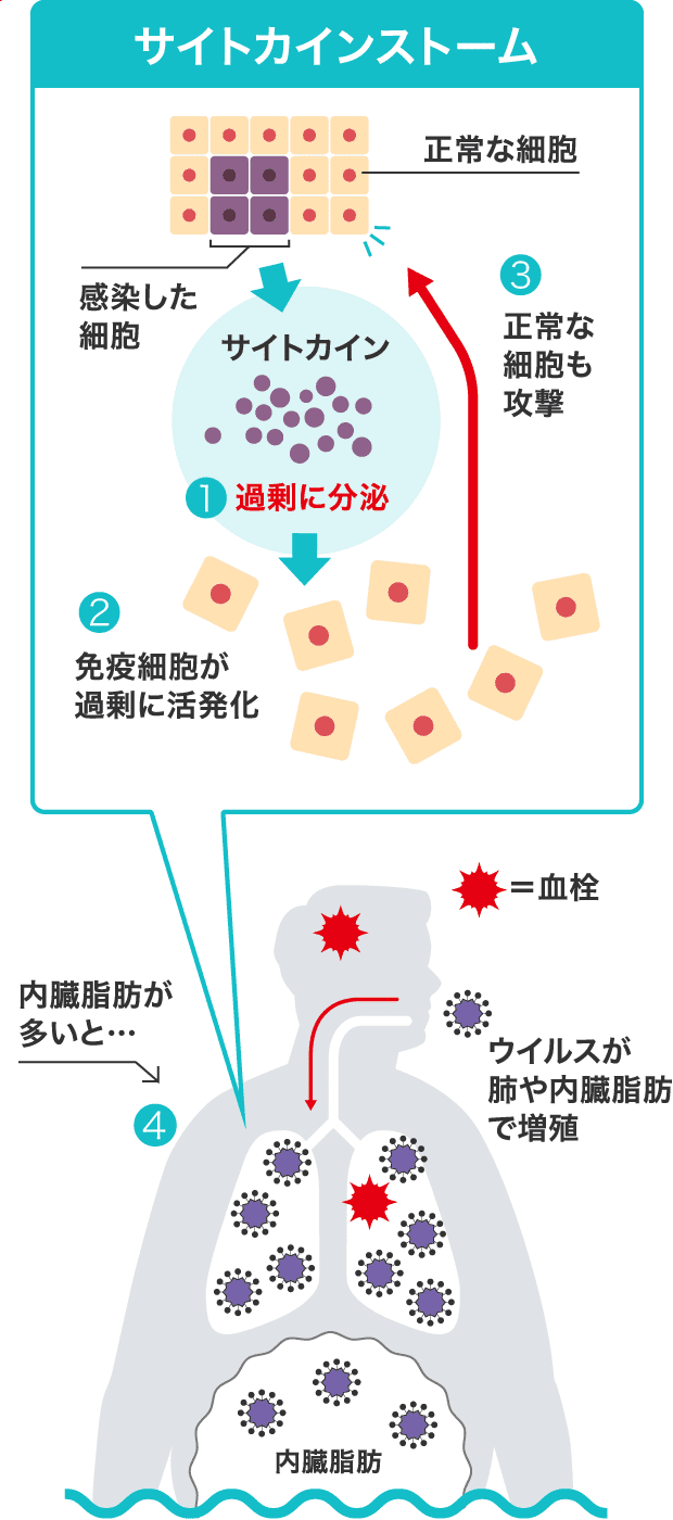 サイトカインストーム解説図