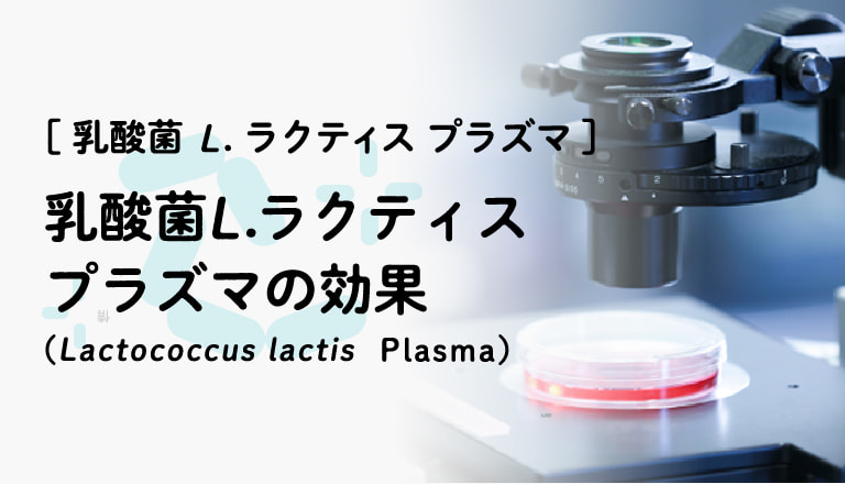 乳酸菌 L.ラクティス プラズマの効果(Lactococcus lactis Plasma)