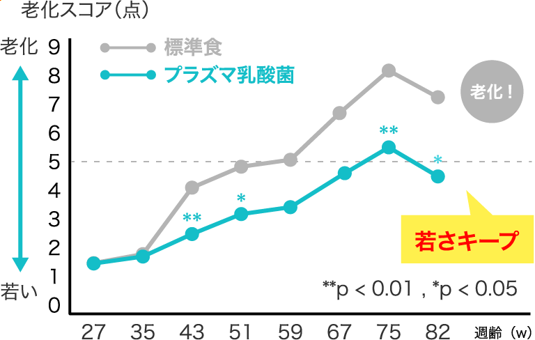 老化スコア（点） 若さキープ