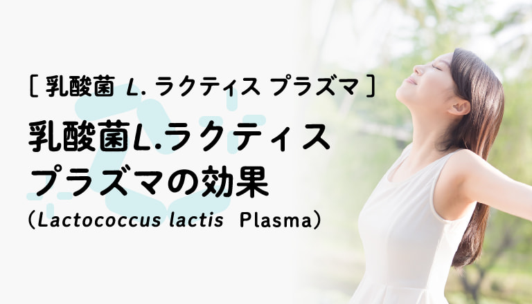 乳酸菌 L.ラクティス プラズマの効果(Lactococcus lactis Plasma)