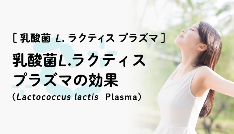 乳酸菌 L.ラクティス プラズマの効果（Lactococcus lactis Plasma）