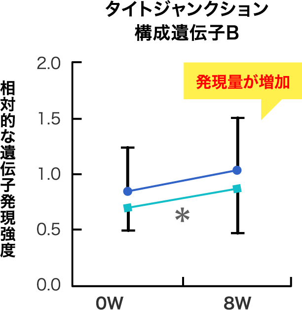 タイトジャンクション構成遺伝子B 相対的な遺伝子発現強度 発現量が増加*