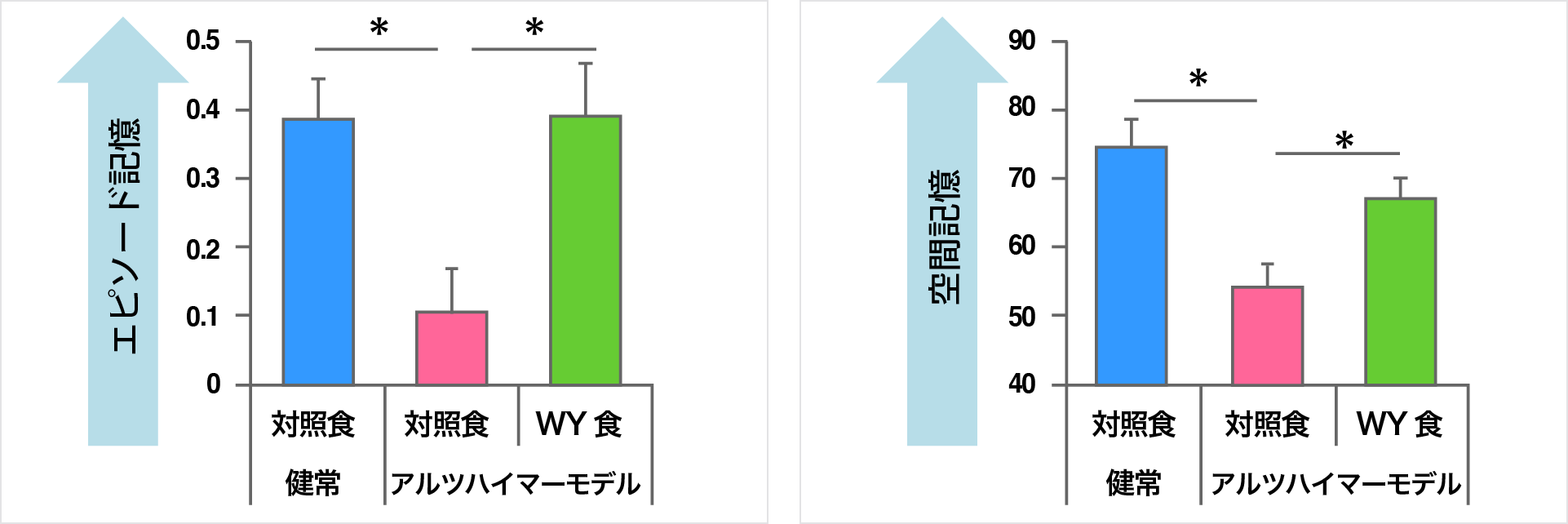 アルツハイマー病モデルの認知機能