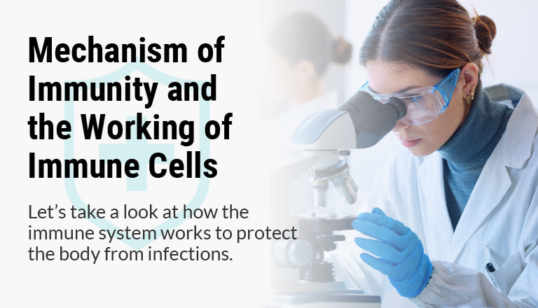 Mechanism of Immunity and the Working of Immune Cells / Let's take a look at how the immune system works to protect the body from infections.