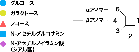 グルコース／ガラクトース／フコース／N-アセチルグルコサミン／N-アセチルノイラミン酸（シアル酸）