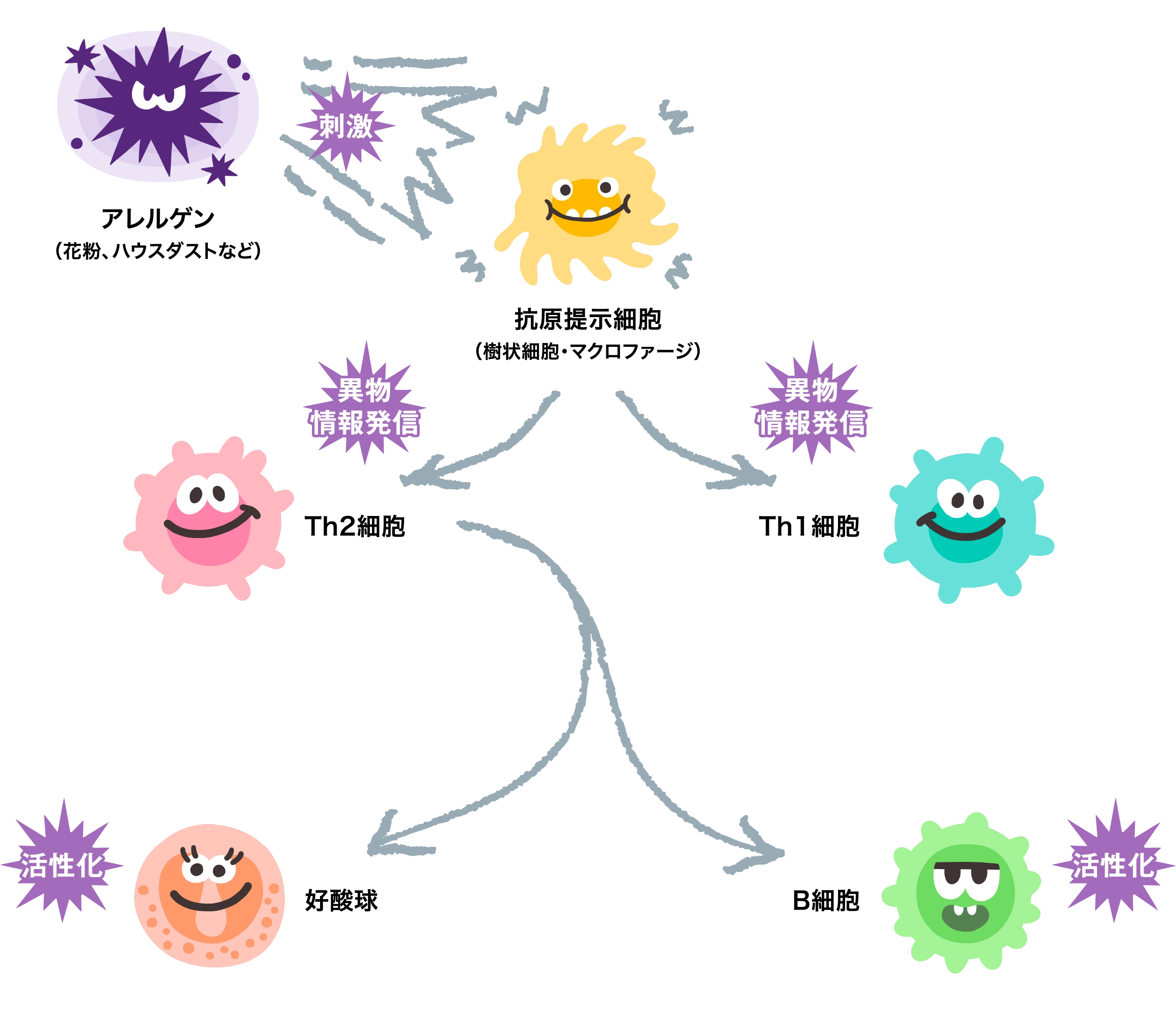 アレルギーが起こる仕組みの背景画像
