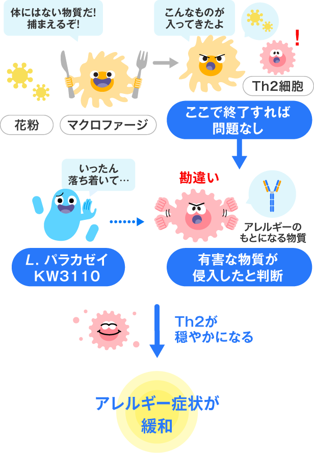 KW3110によるアレルギー症状緩和の仕組み