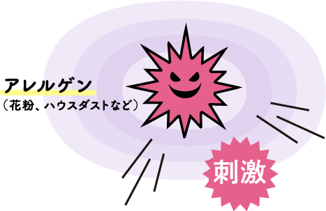 アレルゲン（花粉、ハウスダストなど）刺激