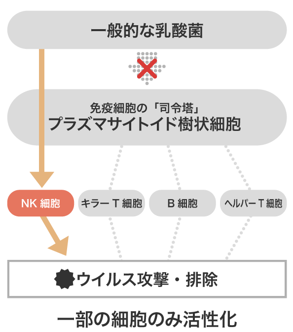 一部の細胞のみ活性化