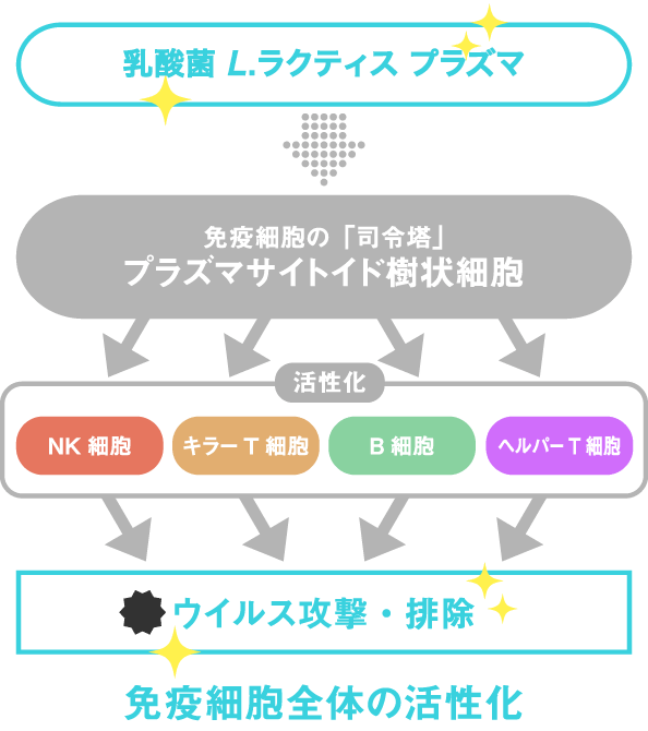 免疫細胞全体の活性化
