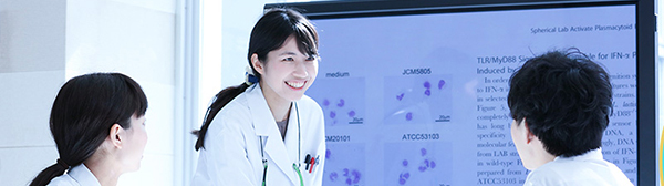 乳酸菌 L.ラクティス プラズマ 研究レポート