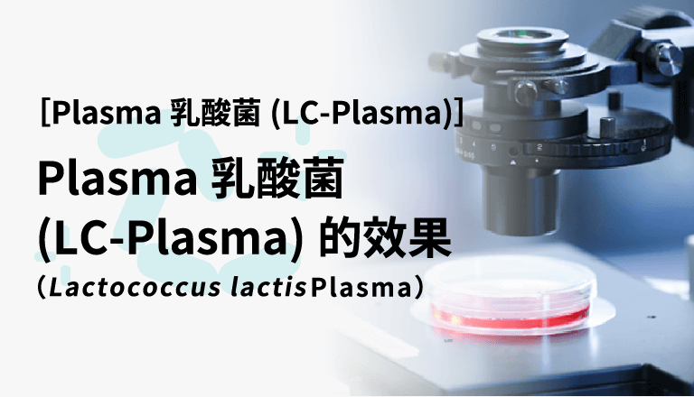 Plasma乳酸菌（LC-Plasma）的效果