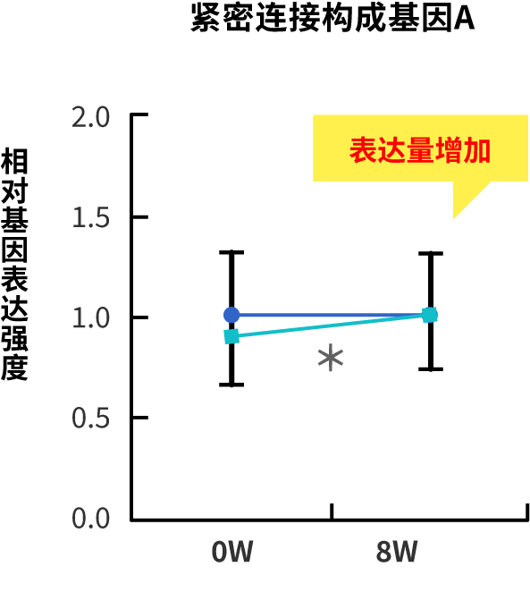 紧密连接基因表达量的比较图（紧密连接构成基因A）