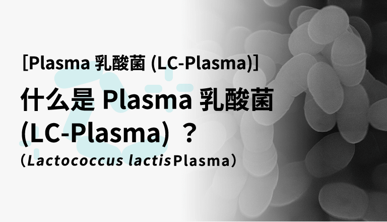 什么是Plasma乳酸菌（LC-Plasma）？