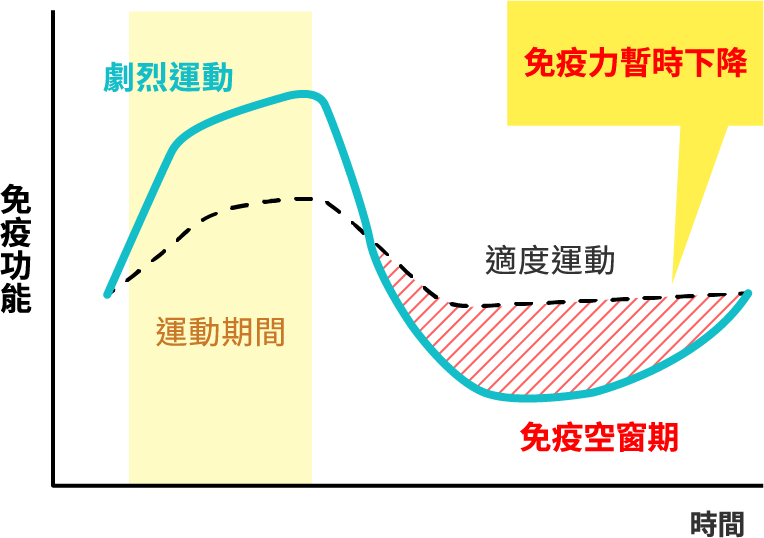 因劇烈運動而導致的暫時性免疫力下降的隨時間變化圖（劇烈運動後免疫力會暫時下降）