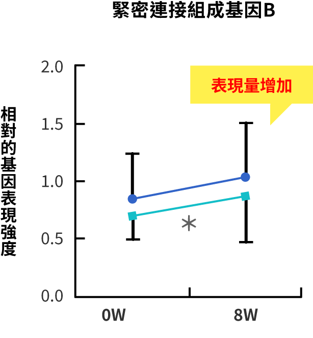 緊密連接基因表現量的比較圖（緊密連接構成基因B）