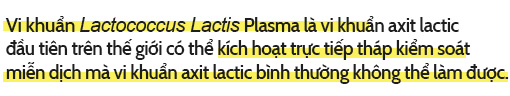 Vi khuẩn Lactococcus Lactis Plasma là vi khuẩn axit lactic đầu tiên và duy nhất trên thế giới có thể kích hoạt trực tiếp hàng rào phòng thủ đầu tiên của hệ thống miễn dịch.