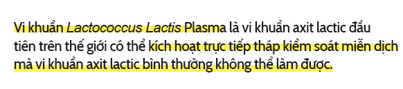 Vi khuẩn Lactococcus Lactis Plasma là vi khuẩn axit lactic đầu tiên và duy nhất trên thế giới có thể kích hoạt trực tiếp hàng rào phòng thủ đầu tiên của hệ thống miễn dịch.